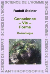 CONSCIENCE VIE FORME