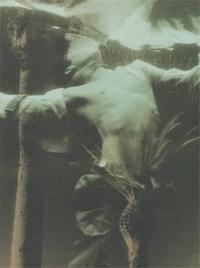 Robert Flynt Compound Fracture /anglais