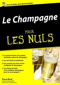 LE CHAMPAGNE POUR LES NULS MEGAPOCHE