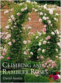 CLIMBING AND RAMBLER ROSES /ANGLAIS