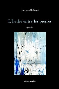 L’herbe entre les pierres