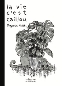 La vie c'est caillou