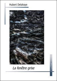 La fenêtre grise