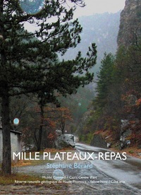 1000 PLATEAUX-REPAS