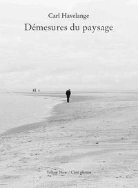 DEMESURES DU PAYSAGE