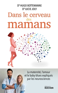 DANS LE CERVEAU DES MAMANS - LA MATERNITE, L'AMOUR ET LE BABY-BLUES EXPLIQUES PAR LES NEUROSCIENCES
