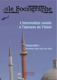 Le Sociographe N°58 - Islam Et Travail Social : Valeurs Partagees ?