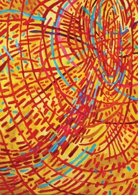 Magnetic Fields: Expanding American Ab /anglais