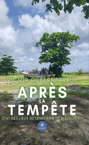 APRES LA TEMPETE - ETAT DES LIEUX AU LENDEMAIN DE BLESSURES...