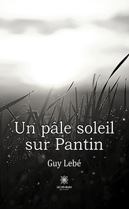 Un pâle soleil sur Pantin