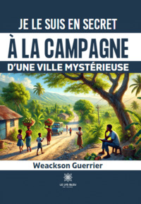 Je le suis en secret à la campagne d’une ville mystérieuse