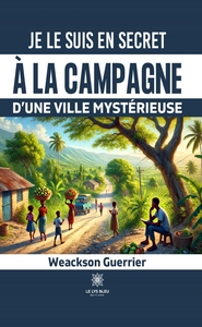 Je le suis en secret à la campagne d'une ville mystérieuse