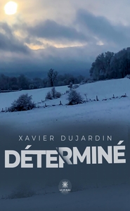 DETERMINE