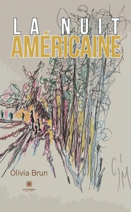 La nuit américaine