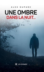 Une ombre dans la nuit...
