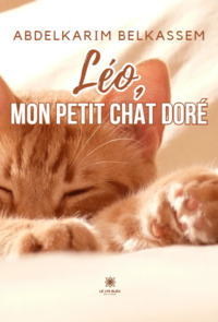 Léo, mon petit chat doré