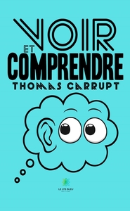 Voir et comprendre