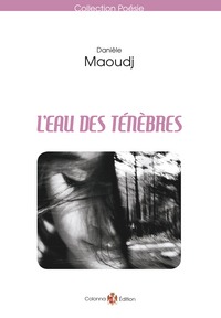 L'EAU DES TENEBRES