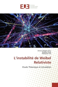 L'instabilite de Weibel Relativiste