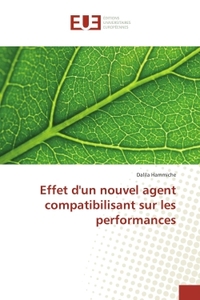 Effet d'un nouvel agent compatibilisant sur les performances