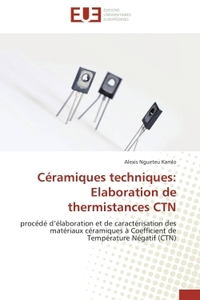 CERAMIQUES TECHNIQUES: ELABORATION DE THERMISTANCES CTN