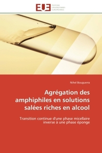 Agrégation des amphiphiles en solutions salées riches en alcool