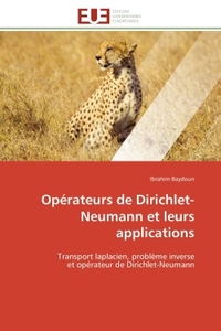Opérateurs de Dirichlet-Neumann et leurs applications