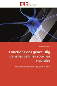 Fonctions des gènes olig dans les cellules souches neurales