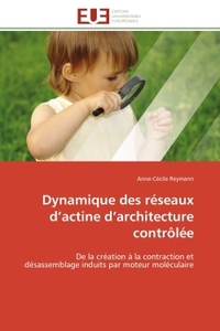 DYNAMIQUE DES RESEAUX D ACTINE D ARCHITECTURE CONTROLEE