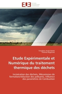 Etude expérimentale et numérique du traitement thermique des déchets