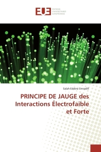 PRINCIPE DE JAUGE des Interactions Électrofaible et Forte