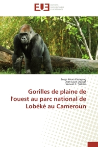 Gorilles de plaine de l'ouest au parc national de Lobéké au Cameroun