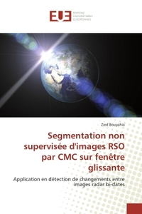 Segmentation non supervisée d'images RSO par CMC sur fenêtre glissante