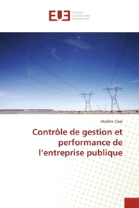 Contrôle de gestion et performance de l'entreprise publique