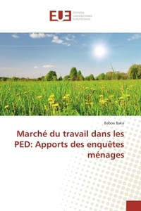 Marche du travail dans les PeD: Apports des enquetes menages