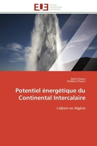 Potentiel énergétique du continental intercalaire