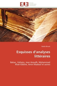 Esquisses d'analyses littéraires