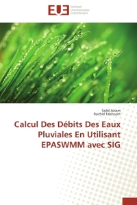 CALCUL DES DEBITS DES EAUX PLUVIALES EN UTILISANT EPASWMM AVEC SIG