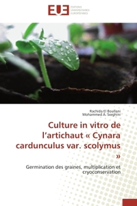 CULTURE IN VITRO DE L ARTICHAUT  CYNARA CARDUNCULUS VAR. SCOLYMUS