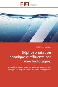 Déphosphatation anoxique d effluents par voie biologique: