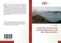 Etude d'un ouvrage d'art sur Oued Moulouya au PK 485+000 de la RN 2
