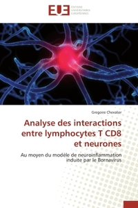 Analyse des interactions entre lymphocytes T CD8 et neurones