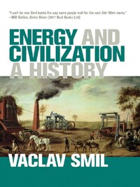 ENERGY AND CIVILIZATION A HISTORY /ANGLAIS