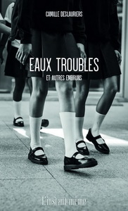 EAUX TROUBLES ET AUTRES EMBRUNS