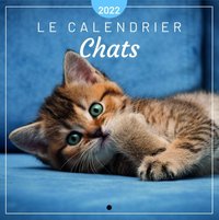 LE CALENDRIER CHATS 2022