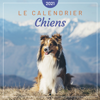 Le calendrier des Chiens 2021