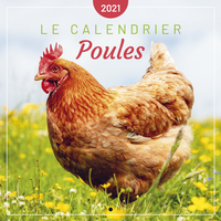 Le calendrier des Poules 2021