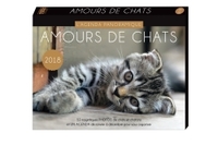 AGENDA PANORAMIQUE AMOURS DE CHATS 2018