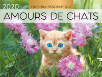 AGENDA PANORAMIQUE AMOURS DE CHATS 2020
