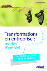 TRANSFORMATIONS EN ENTREPRISE : MODES D'EMPLOI - LE DIABLE SE CACHE DANS LES DETAILS